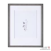  Anthurium II 